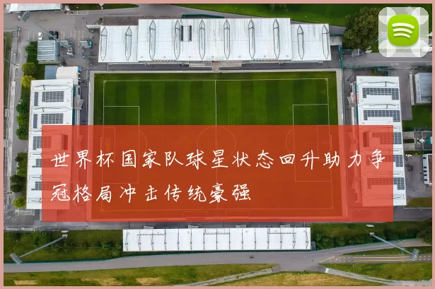 世界杯国家队球星状态回升助力争冠格局冲击传统豪强