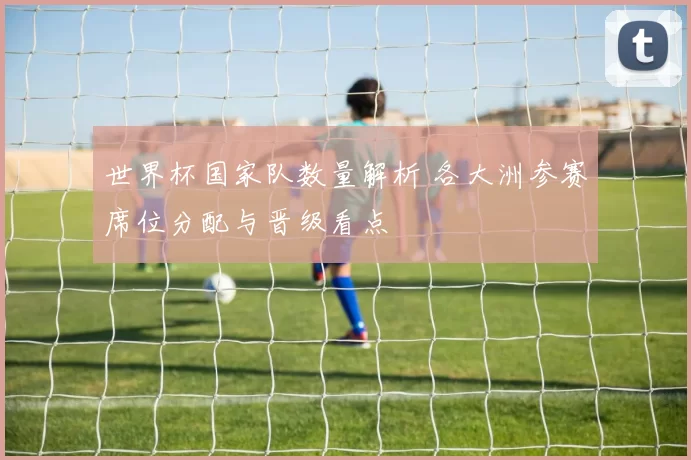 世界杯国家队数量解析 各大洲参赛席位分配与晋级看点