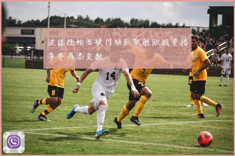 波赫扬帕洛破门助队取胜欧战资格争夺再添变数