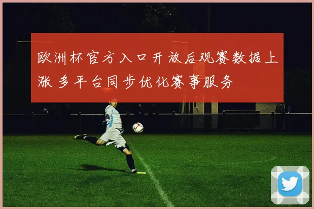 欧洲杯官方入口开放后观赛数据上涨 多平台同步优化赛事服务