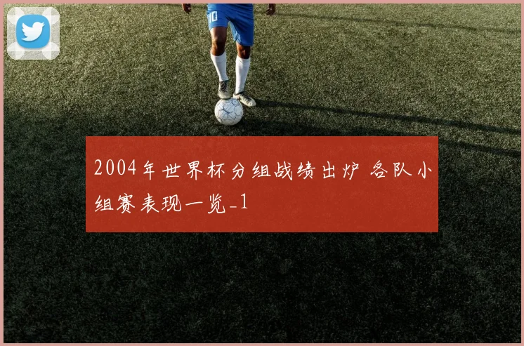 2004年世界杯分组战绩出炉 各队小组赛表现一览_1