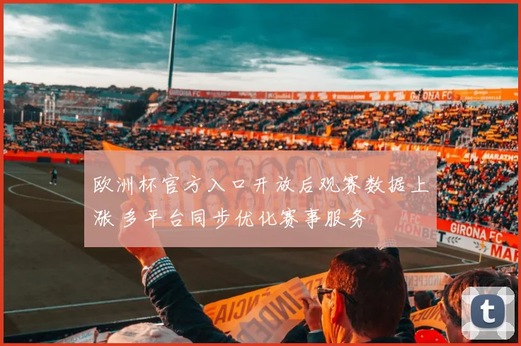 欧洲杯官方入口开放后观赛数据上涨 多平台同步优化赛事服务