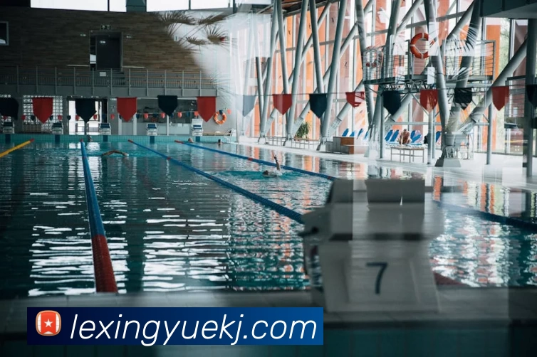 App Interface Preview